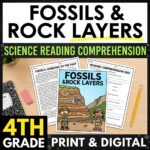 Fossils and Rock Layers Reading Passages & Activities | 4th Grade Science Reading Comprehension | NGSS 4-ESS1-1 | Answer Keys Included